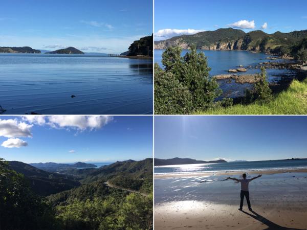 dayinlife coromandel