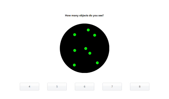 SkyTest Cut-e Monitoring Ability Test